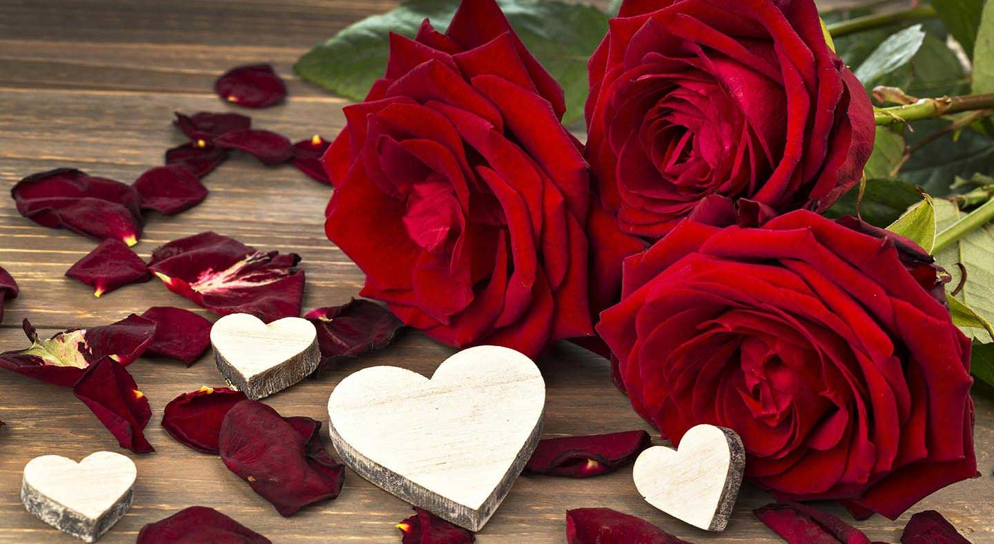 Celebrate love and joy with Roses in Valentines Day