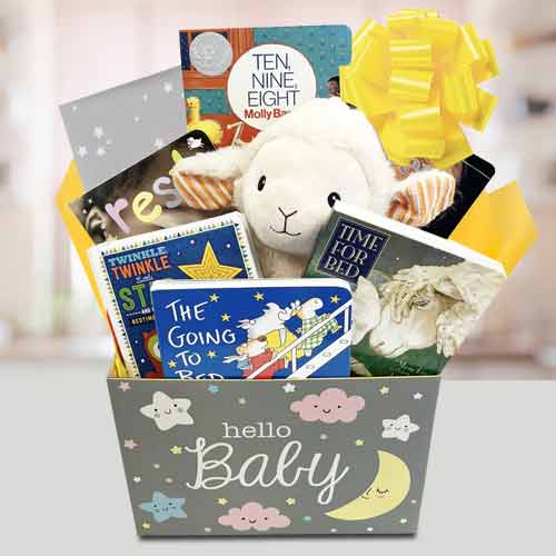 New Born Baby Gift Basket-Baby Hamper Send To USA