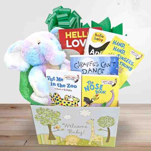 Baby Board Books Gift Basket-Gifts For Newborn Baby To USA