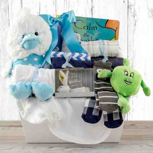 Pampered Boy Hamper-Gift Baskets For Infants To  Colorado