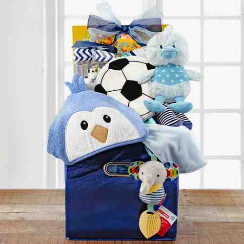 Boy Precious Gift Basket-Gift Baskets For Infants To  Connecticut