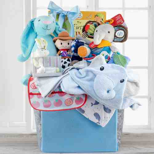 Baby Grand Gift Baskets-Gift Baskets For Infants To  Delaware