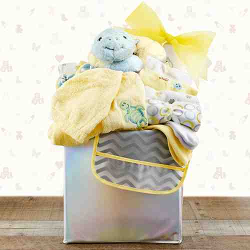 Infant Wardrobe Hamper - Baby Hamper Send To Louisiana USA