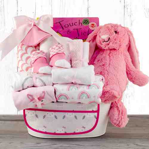 Baby Girl Gift Basket-Baby Hamper Send To Maine