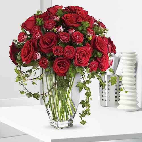 Rose For All Occasions-Cheap Flowers Delivered To USA