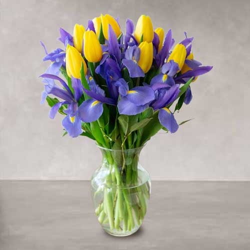 Send Yellow Tulips & Blue Iris Bouquet For Mother’s Day | Dearest Mommy Bloom Delight