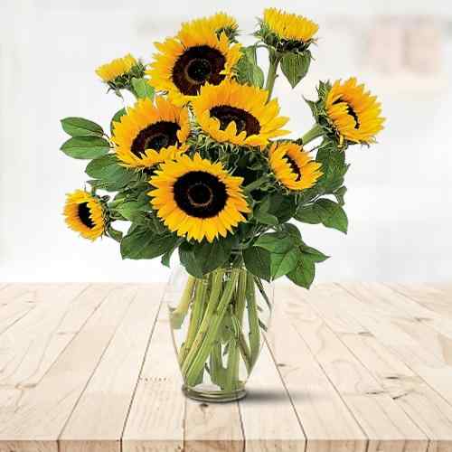 Shine With Sunflowers-Order Sunflowers For Delivery