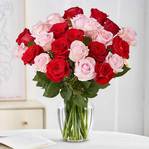 2 Dozen Pink And Red Roses