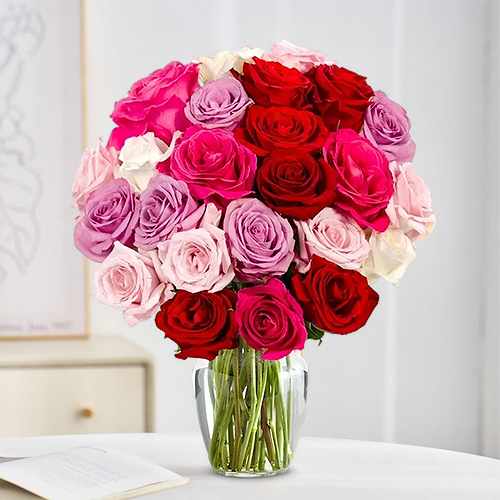 24 Colorful Roses Celebration