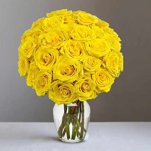 2 Dozen Yellow Roses