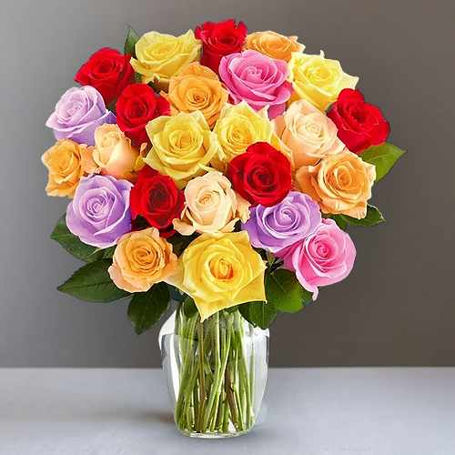 2 Dozen Colorful Rose Embrace