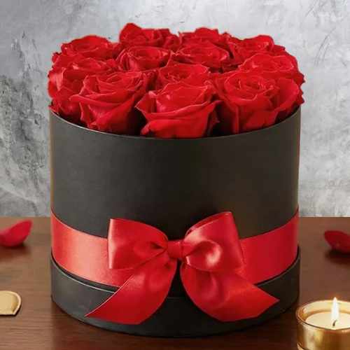 12 Red Forever Rose Collection