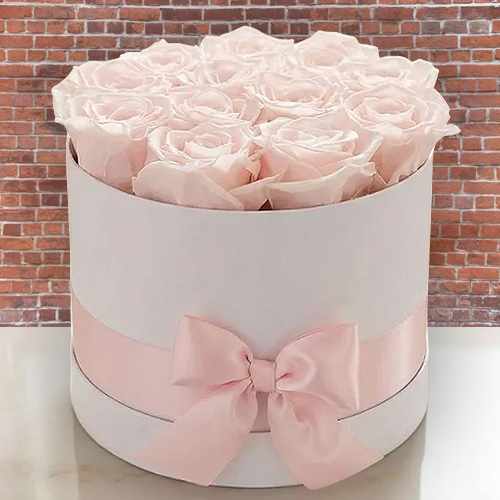 Luxury Champagne Pink Forever Roses – Preserved Rose Gift Box In The USA | Champagne Pink Forever Roses