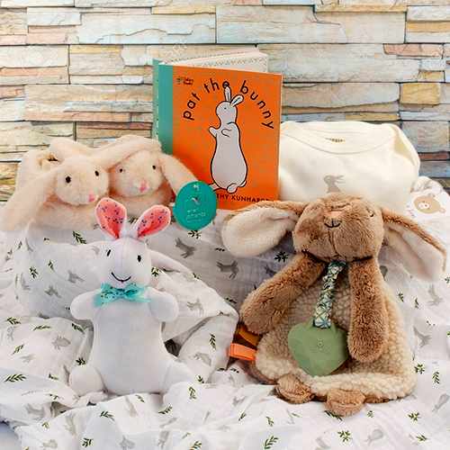 Pat The Bunny Book & Plush Gift Set – A Sweet Welcome For Baby | Baby Bunny Book N Toy Set