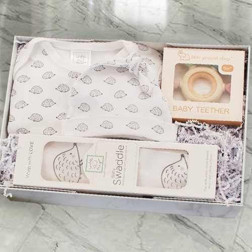 Tiny Hedgehogs Gift Set – A Cozy Welcome For Baby’s First Adventures | Sweet Hedgehog Gift Bundle