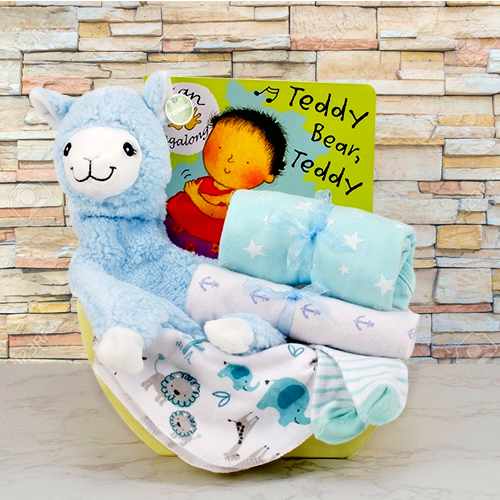 His Naptime Gift Basket – A Cozy Collection For Sweet Baby Dreams | Little Princess Sleepytime Basket
