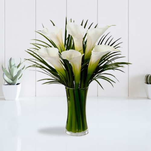 White Calla Lily Arrangements - Send Calla Lilies