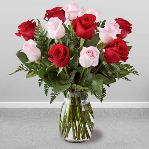 12 Red And Pink Roses-Roses To Send For Birthday