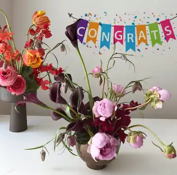 Congradulation Gifts to Colorado, USA